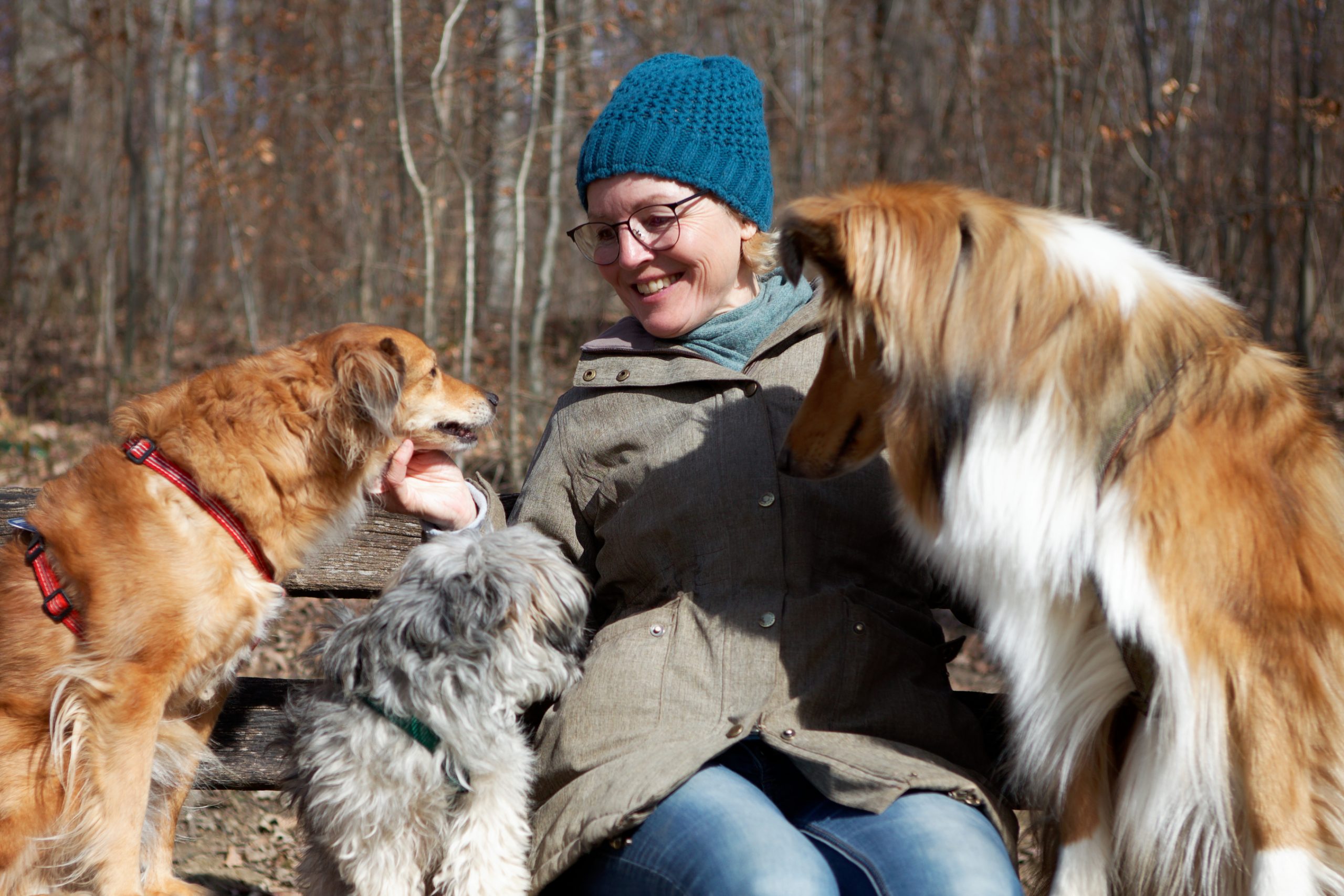 Stefanie Ströbele mit mehreren Hunden